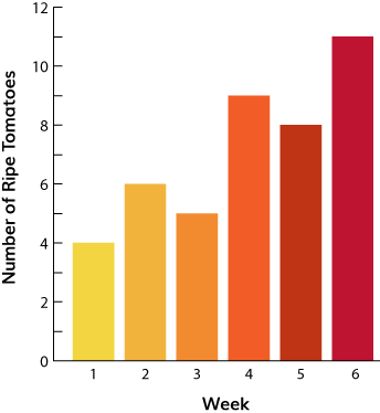 Bar graph showing number of ripe tomatoes by week: 4, 6, 5, 9, 8, 11